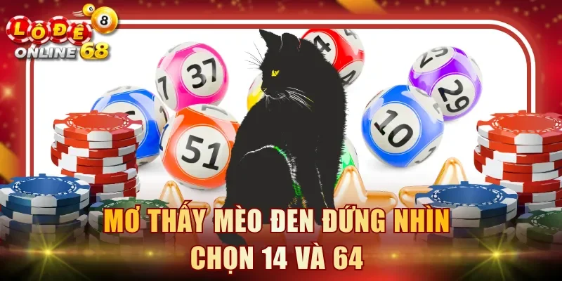Mơ thấy mèo đen đứng nhìn chọn 14 và 64